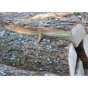 Bûches de chêne vert – 30 cm