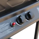 Sailetto barbecue plateau et ustensiles offerts inclus