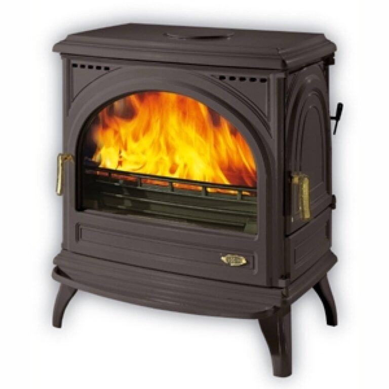 Poêle à Bois Petit Carvin 8kW - Élégance et Performance